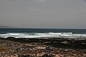 Kanary_2010 107